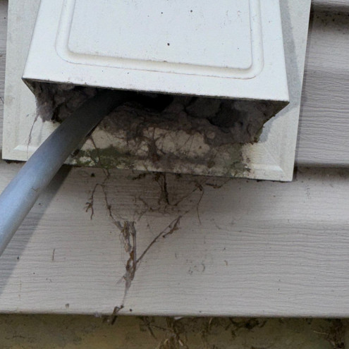 Amped Up Air Duct Cleaning